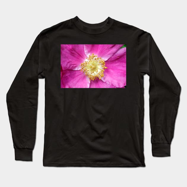 Dog Rose Long Sleeve T-Shirt by gracethescene